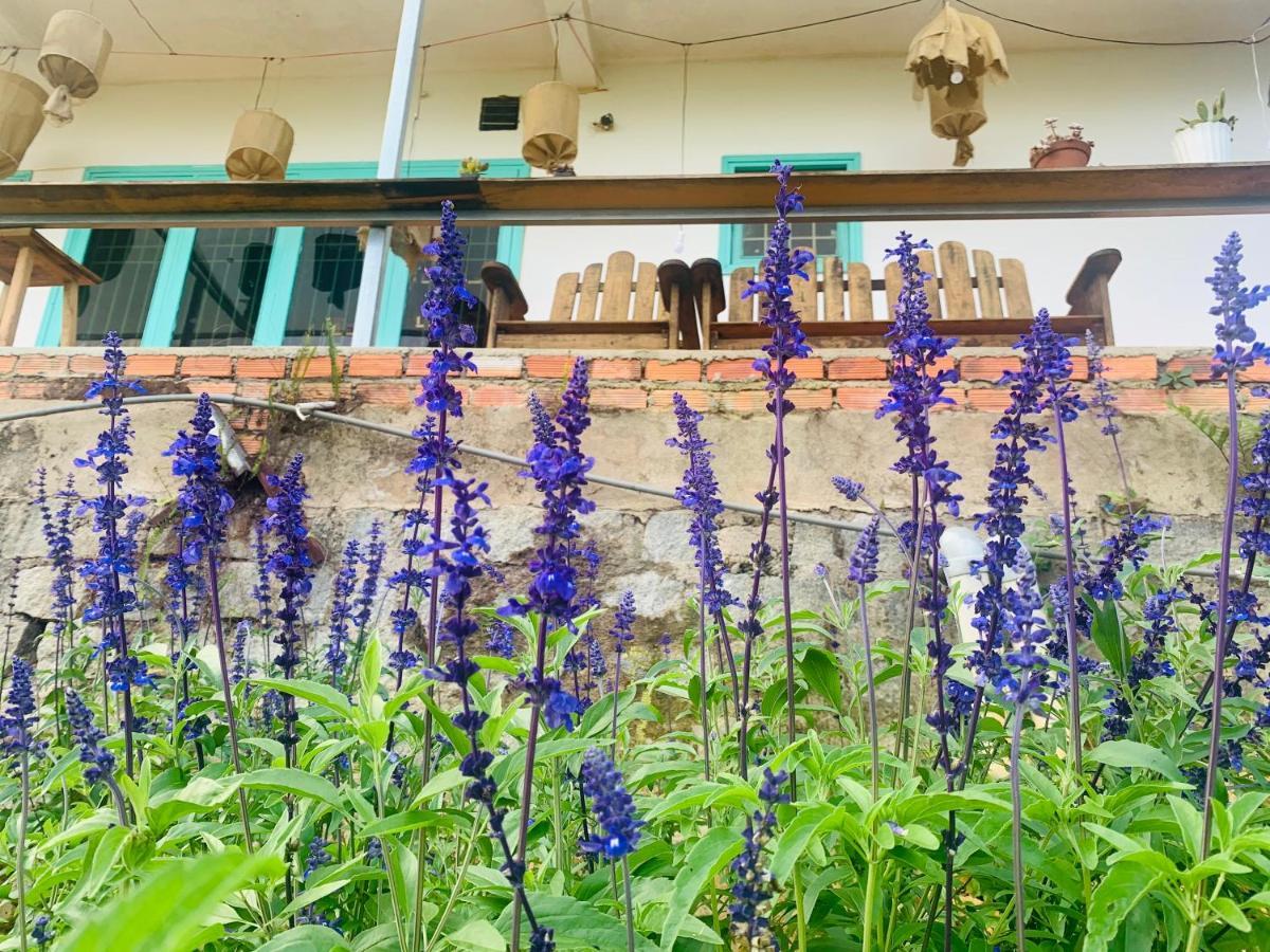 Tháng Năm Rực Rỡ - Dalat Homestay Exterior foto